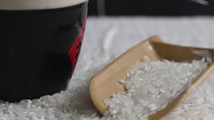 大米水稻商业素材