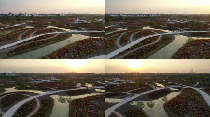 4K原素材-航拍上海花开海上生态园游园