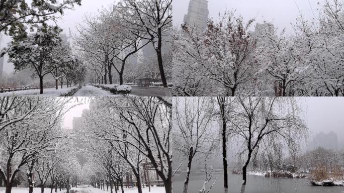 城市游园雪景合集