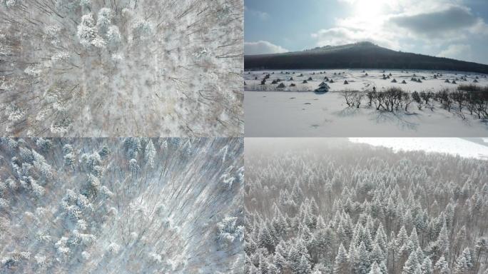 雪景山林 雾凇