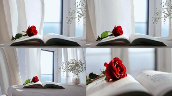 阳光大海红玫瑰书页及飘动的白色窗帘