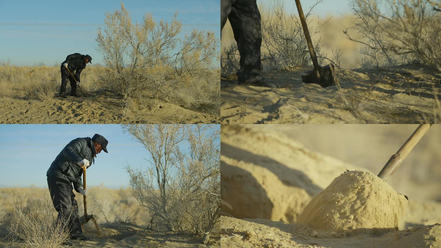 沙漠村民 挖土 挖沙地 当地人干农活