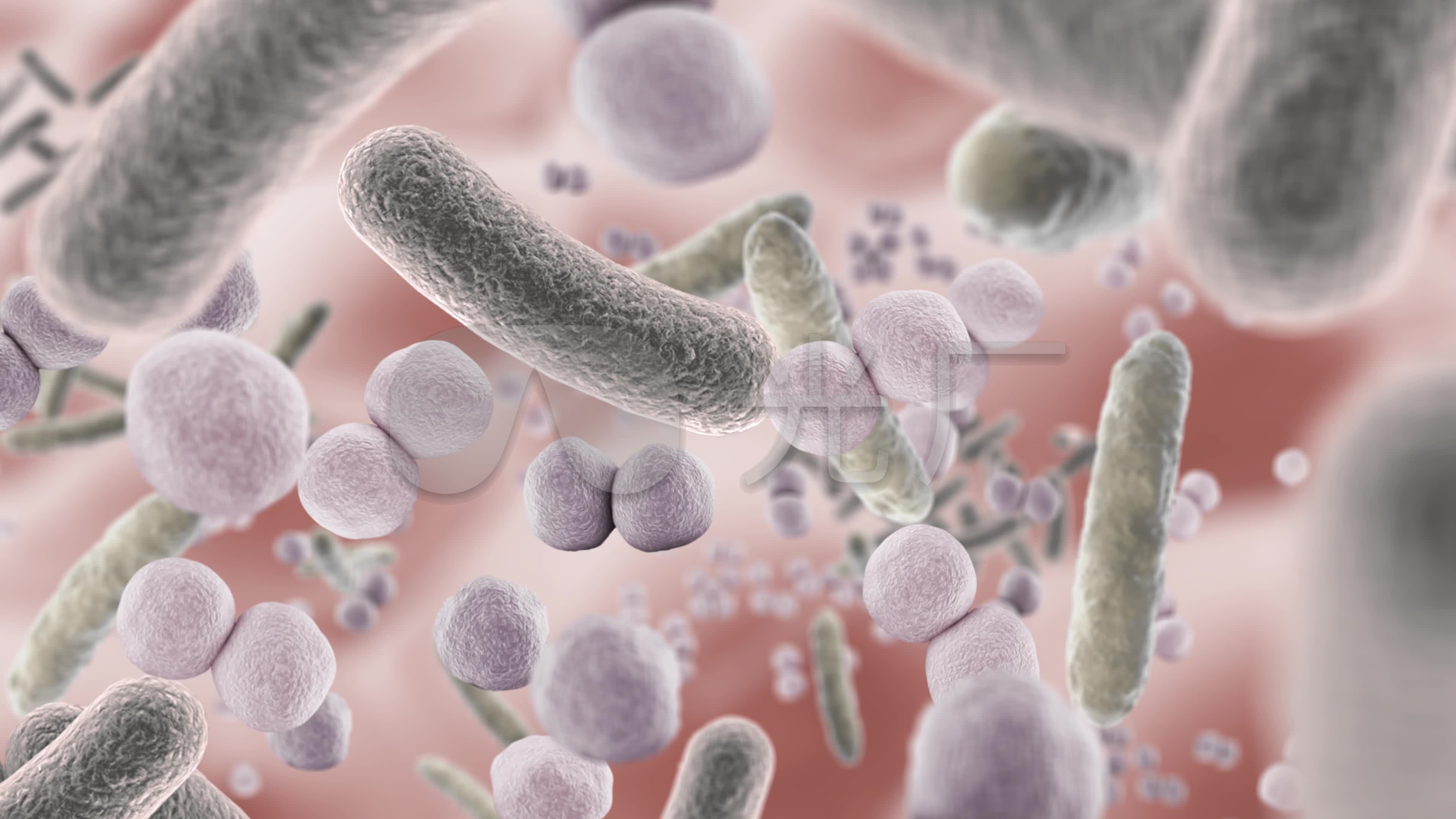 微生物细菌图片大全-微生物细菌高清图片下载-觅知网