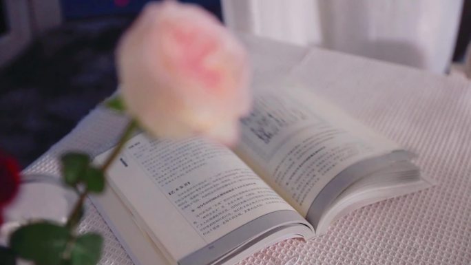 宣泄的粉玫瑰与狂风下的书页
