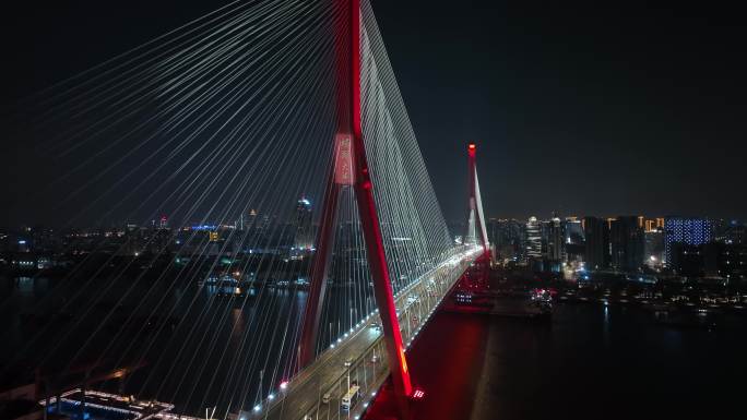 上海杨浦大桥夜景