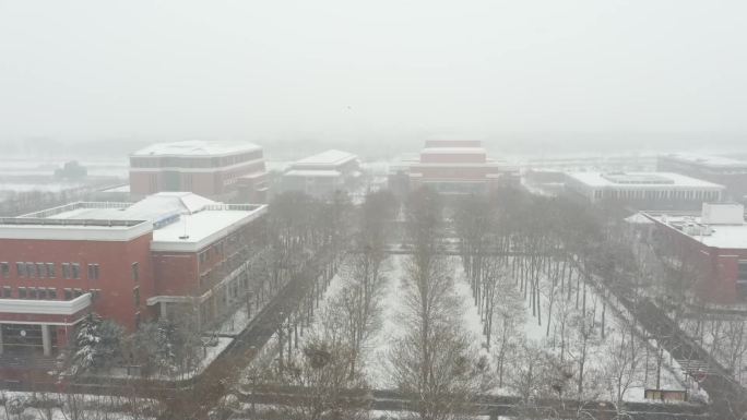 航拍大雪下雪雪景