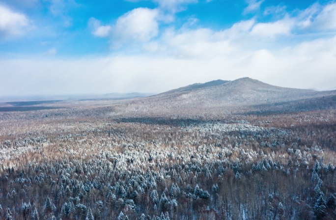 雾凇雪景