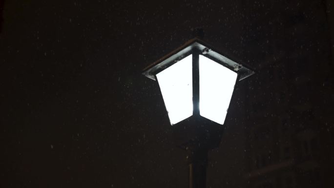冬天雪夜下雪路灯飘雪升格
