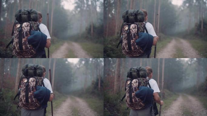 背包客途经桉树森林的小路