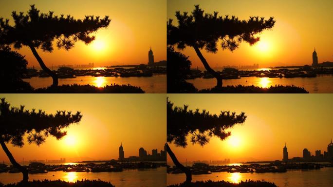 海边夕阳，松树剪影4K