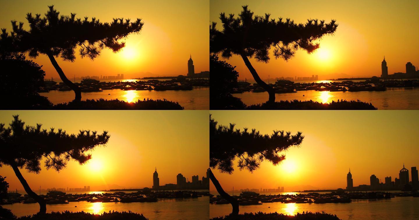 海边夕阳，松树剪影4K