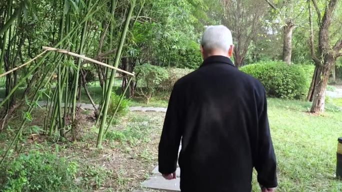 老人背影 竹林散步 退休生活 小区散步