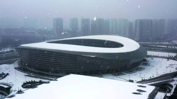 郑州奥体中心雪景