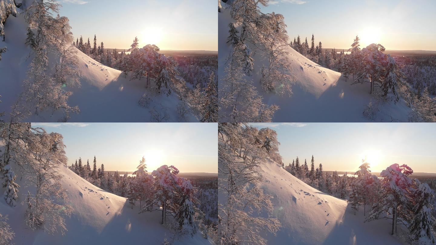 日出时飞过雪景冬季雪花下雪雾凇风景