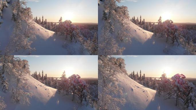 日出时飞过雪景冬季雪花下雪雾凇风景