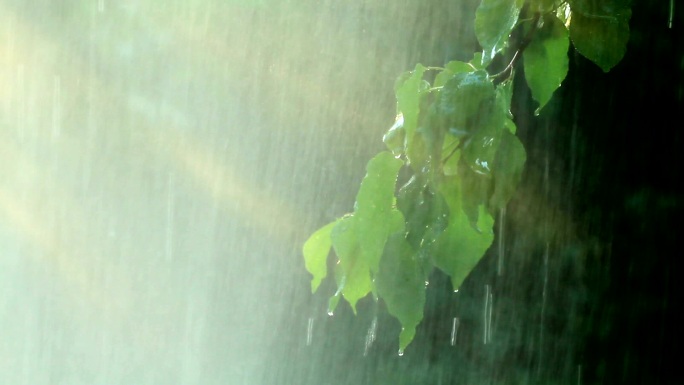 夏雨暴雨下雨雨水