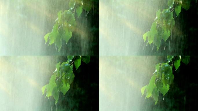 夏雨暴雨下雨雨水