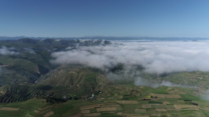 岷县梯田云海无人机穿云药材种植航拍云海