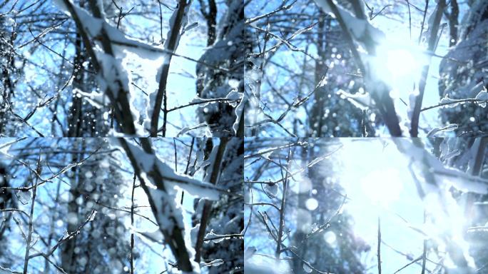 冬季雪山树木雪花从树枝上落下纷纷扬扬飘落