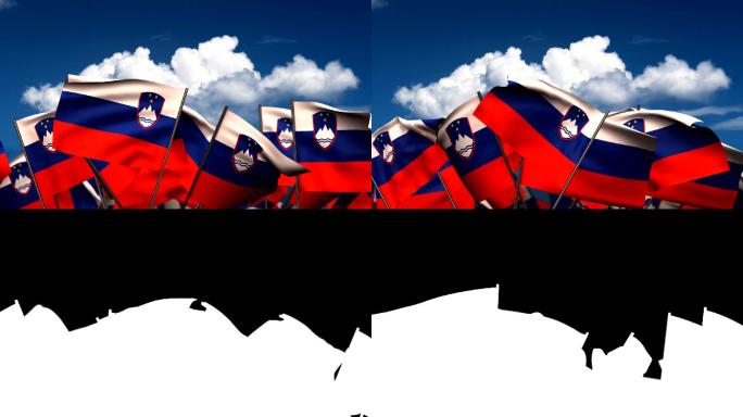 挥舞斯洛文尼亚国旗