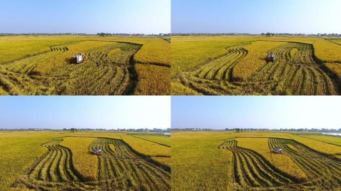 航拍农业机器收割稻子