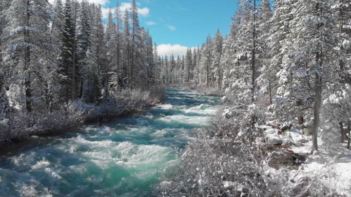 壮观的翡翠溪流冬天冬景冰封千里冰冻树林