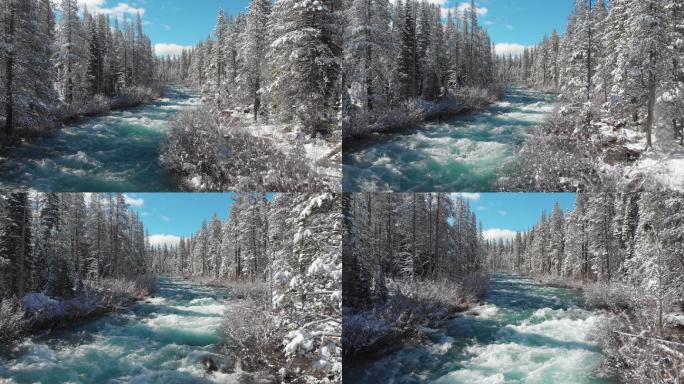壮观的翡翠溪流冬天冬景冰封千里冰冻树林