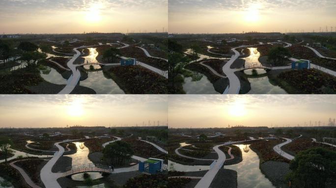 4K原素材-航拍上海花开海上生态园游园