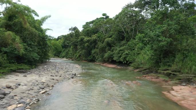 森林中的热带河流绿水青山小沟小溪流水山庄