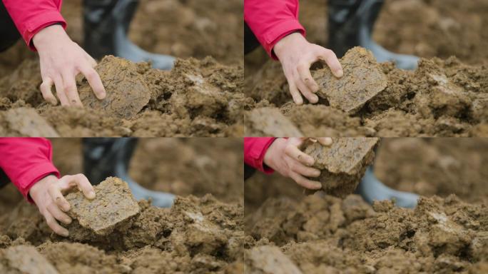 土块，土壤，软硬土质，拿土看