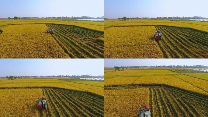 航拍农业机器收割稻子