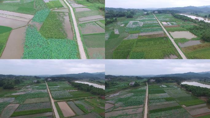 航拍大片农田，春季播种季节。