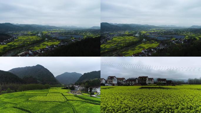 【4K】超清航拍汉中油菜花城市风景