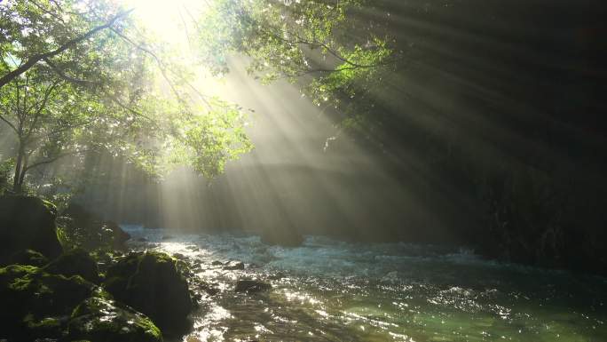 阳光下的小溪森林小河河流小溪夏天清凉一夏