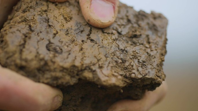 掰土，土块，土壤，软硬土质，拿土看