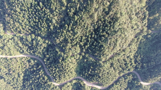 航拍森林蜿蜒盘山公路