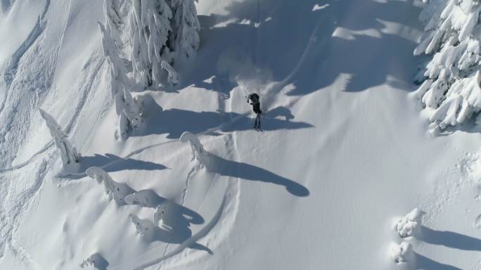 森林中有一个人正在滑粉雪