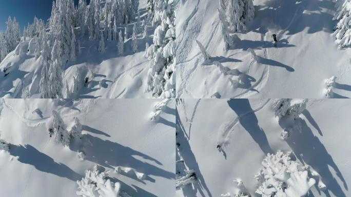 森林中有一个人正在滑粉雪
