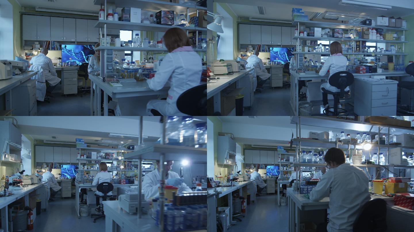 一群穿着白大褂的科学家正在实验室里工作。