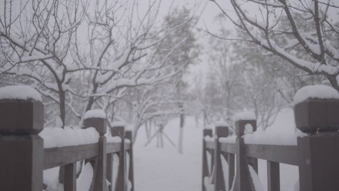 雪景树林木桥