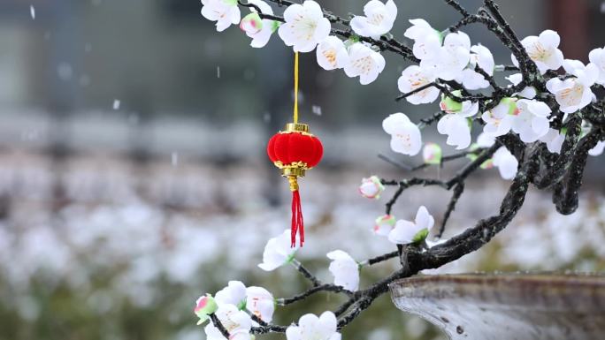 雪中的红灯笼