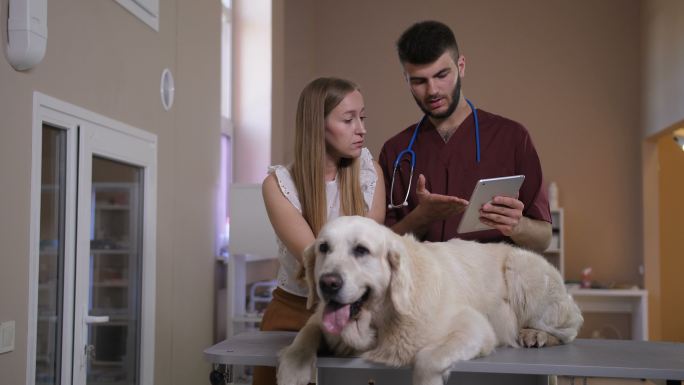 兽医在诊所用平板电脑与宠物主人交谈