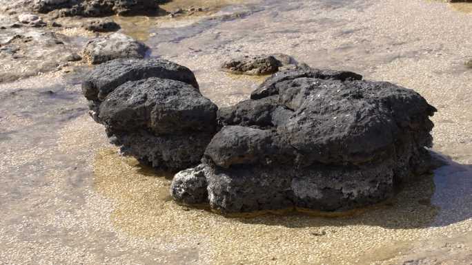 叠层石：由细菌形成的史前岩石状结构