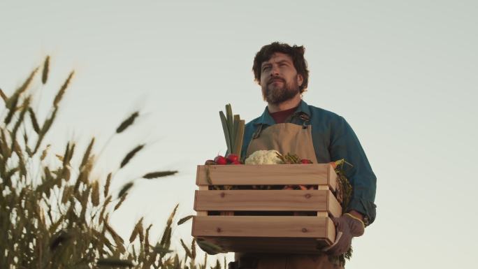 英俊的男农民端着一盒蔬菜