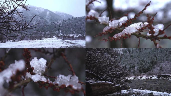 雅克夏雪山、雪山、雪景、四川黑水