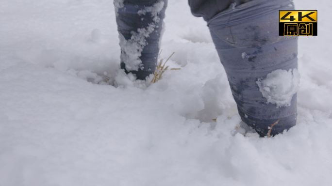 红军、长征、爬雪山、雪地、红色素材