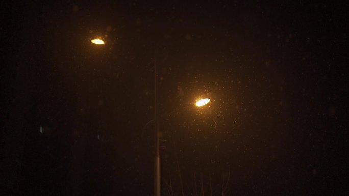 下雪天大雪纷飞的路灯空镜头