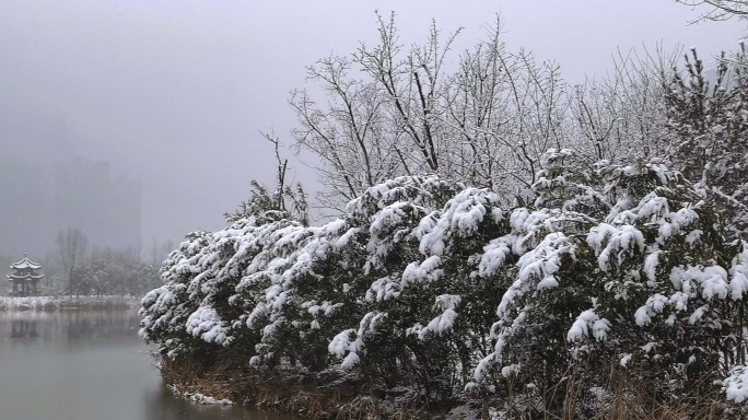 城市游园雪景合集3