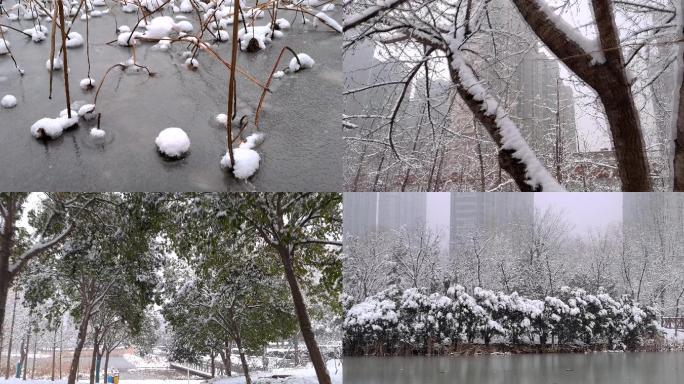 城市游园雪景合集3