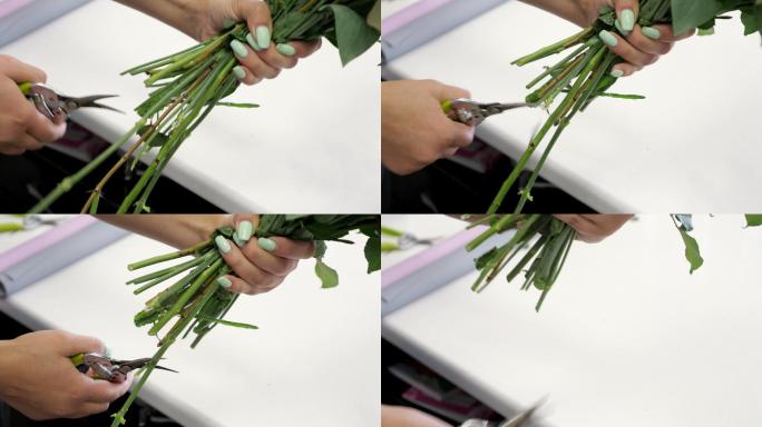 女花商在花店用修剪器修剪玫瑰的茎